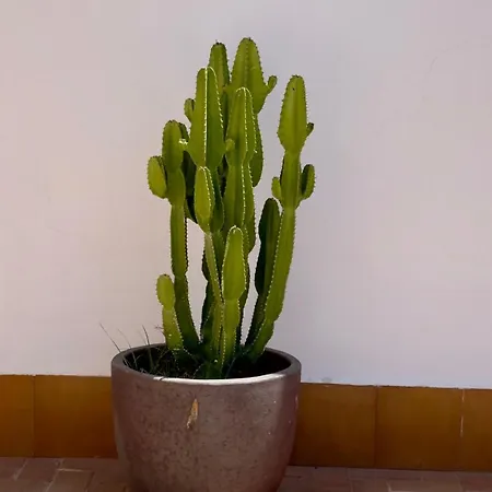 아파트 Island Village *